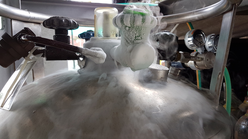 液氮罐閥組 液氮罐閥組