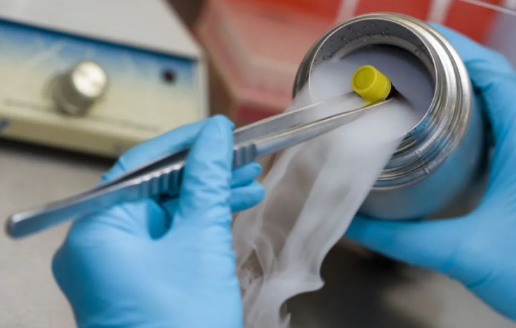 液氮殺菌 液氮殺菌